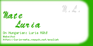 mate luria business card